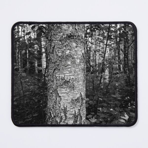 Item preview, Beautiful birch.. Haavisto 2024 bw designed and sold by Jouko Lehto Photography.