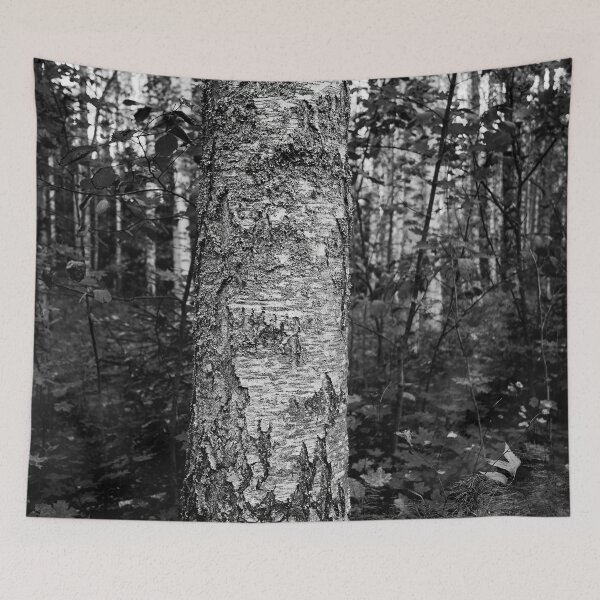 Item preview, Beautiful birch.. Haavisto 2024 bw designed and sold by Jouko Lehto Photography.