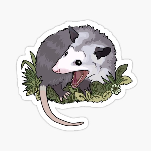 "Screaming possum" Sticker for Sale by Lemongu Redbubble