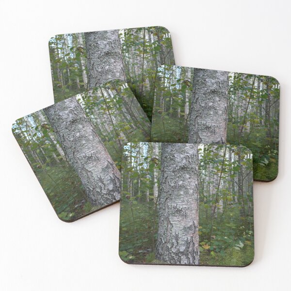 Item preview, Beautiful birch. Haavisto 2024 designed and sold by Jouko Lehto Photography.