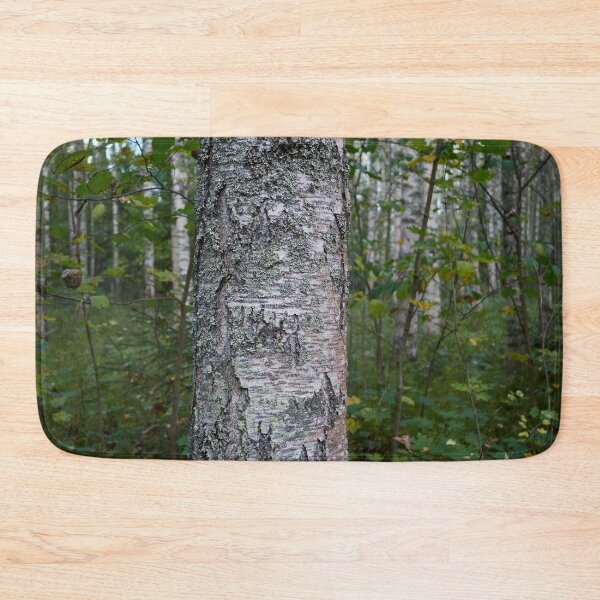 Item preview, Beautiful birch. Haavisto 2024 designed and sold by Jouko Lehto Photography.
