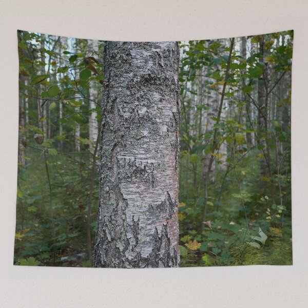 Item preview, Beautiful birch. Haavisto 2024 designed and sold by Jouko Lehto Photography.