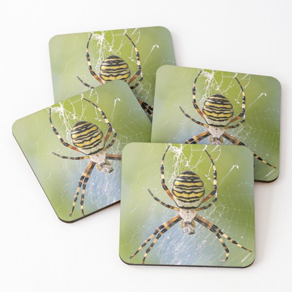Item preview, wasp spider designed and sold by pejuphotography.