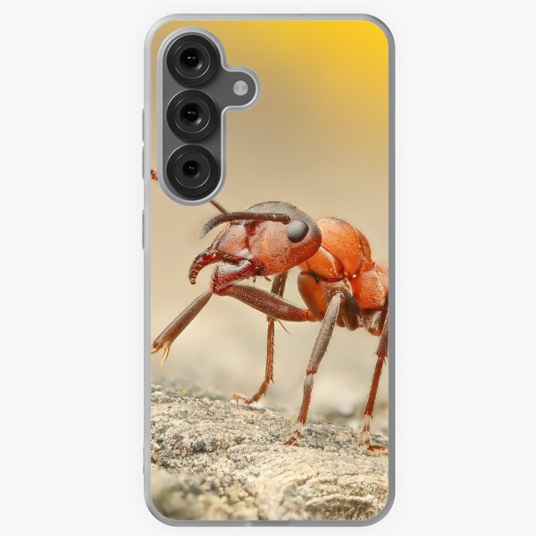 Item preview, red wood ant designed and sold by pejuphotography.