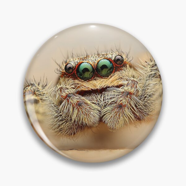 Item preview, jumping spider designed and sold by pejuphotography.