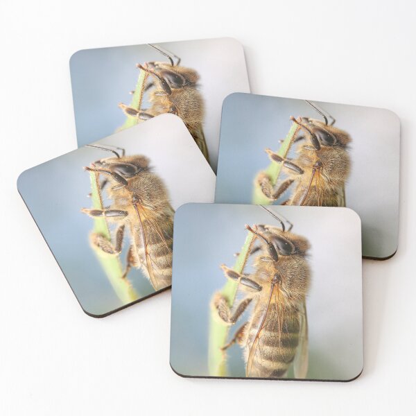 Item preview, bee designed and sold by pejuphotography.