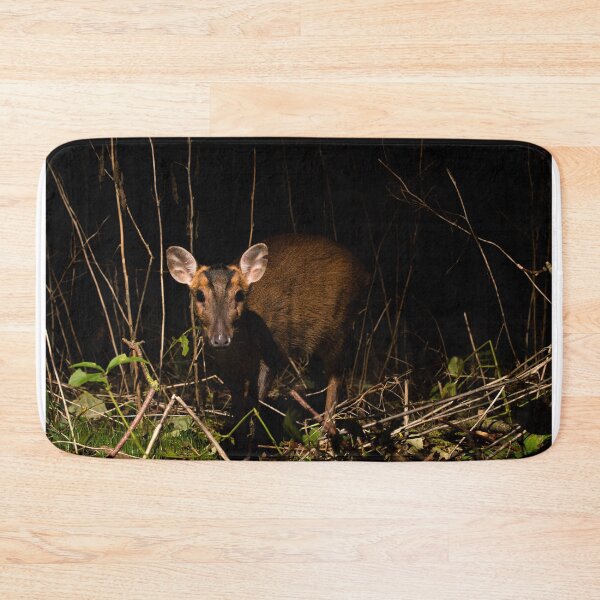 Item preview, Muntjac Deer designed and sold by MTPhotos1406.