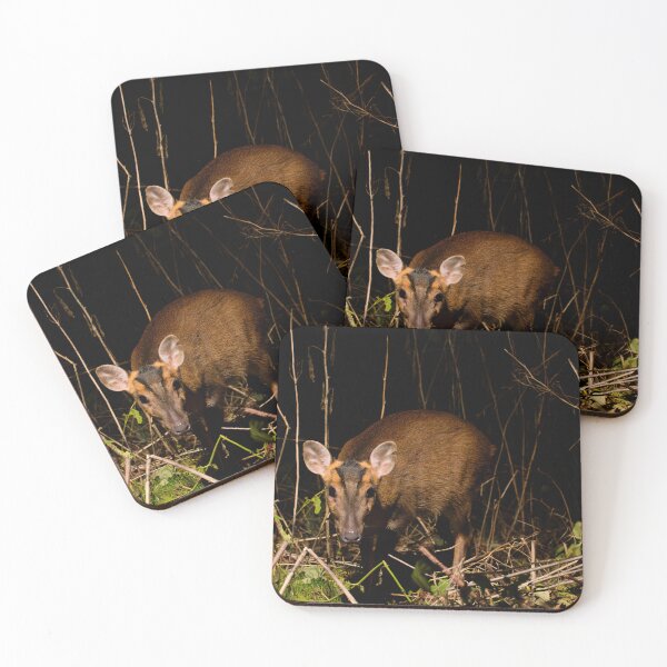 Item preview, Muntjac Deer designed and sold by MTPhotos1406.