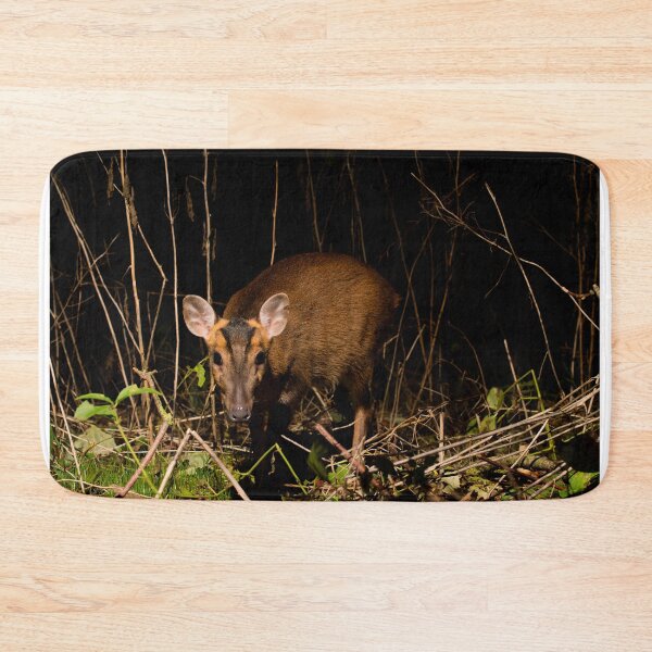 Item preview, Muntjac Deer designed and sold by MTPhotos1406.