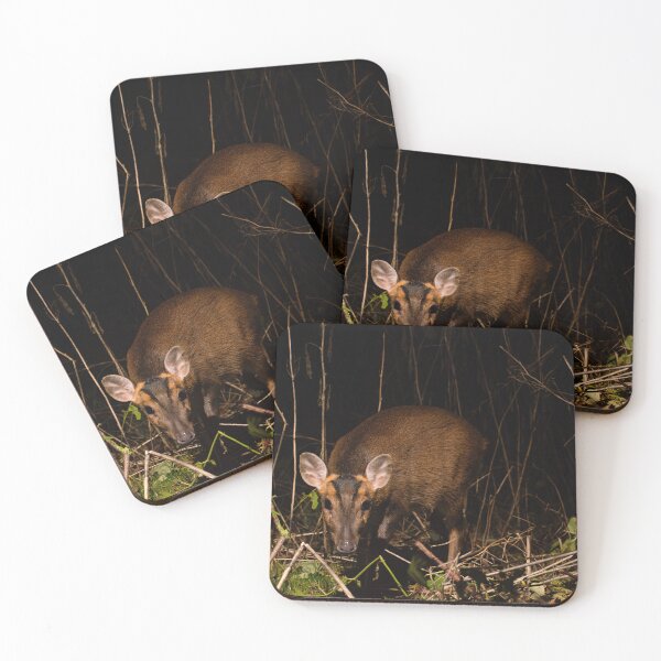 Item preview, Muntjac Deer designed and sold by MTPhotos1406.