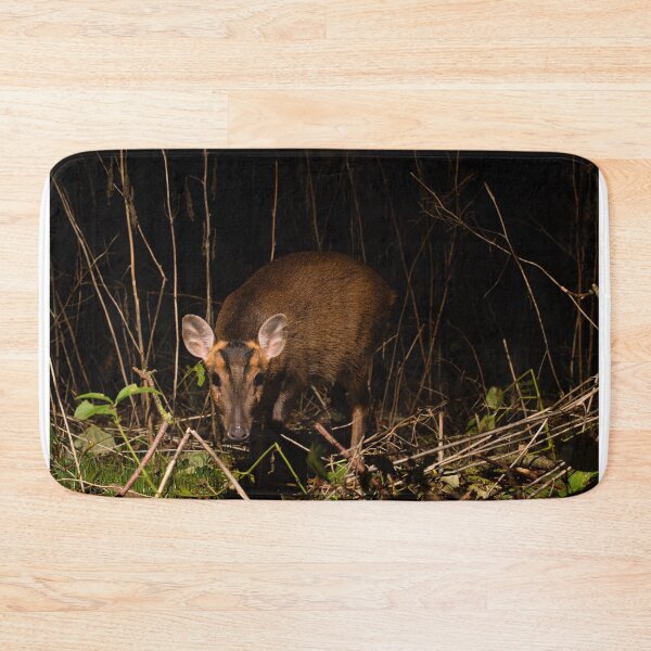 Item preview, Muntjac Deer designed and sold by MTPhotos1406.
