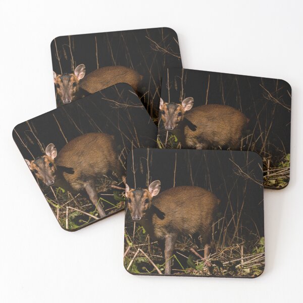 Item preview, Muntjac Deer designed and sold by MTPhotos1406.