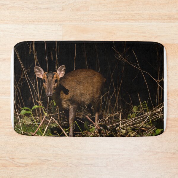 Item preview, Muntjac Deer designed and sold by MTPhotos1406.