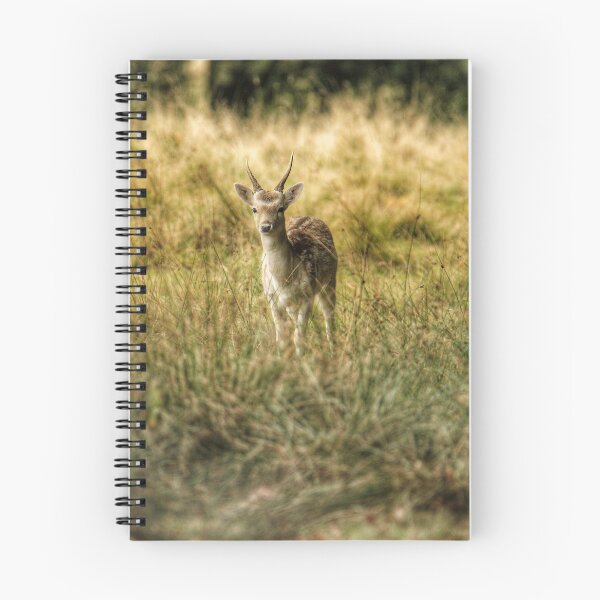 Item preview, Fallow deer  designed and sold by Kerrie-Ann Ellison.