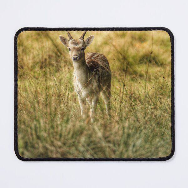 Item preview, Fallow deer  designed and sold by Kerrie-Ann Ellison.