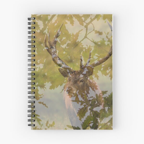 Item preview, Red deer stag designed and sold by Kerrie-Ann Ellison.