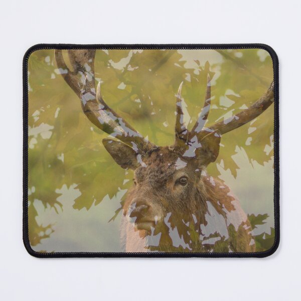 Item preview, Red deer stag designed and sold by Kerrie-Ann Ellison.