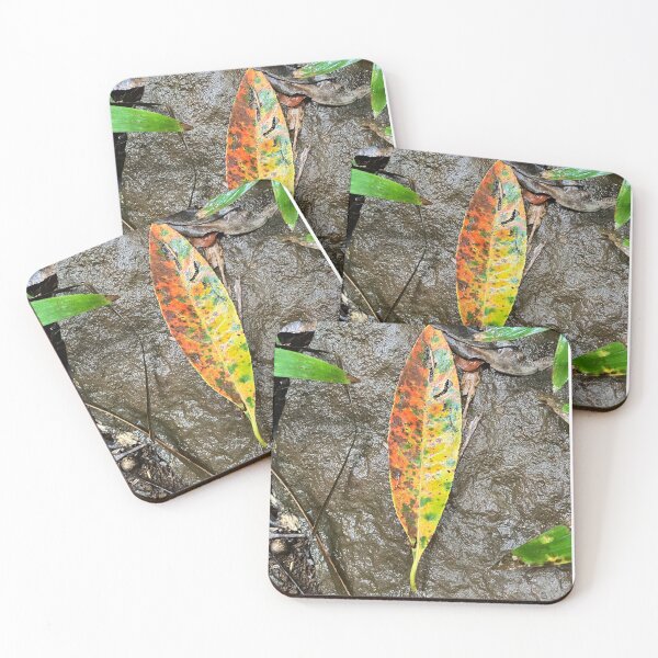 Item preview, A beautiful fallen leaf on a sub-tropical forest floor designed and sold by Andykinoz.