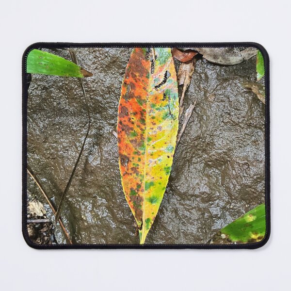 Item preview, A beautiful fallen leaf on a sub-tropical forest floor designed and sold by Andykinoz.