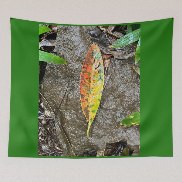 Item preview, A beautiful fallen leaf on a sub-tropical forest floor designed and sold by Andykinoz.