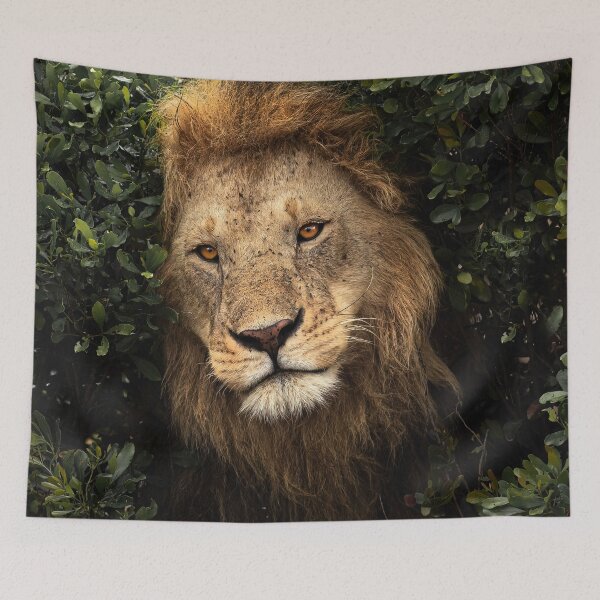 Item preview, Male Lion Emerging from Bushes designed and sold by AndyMorkot.
