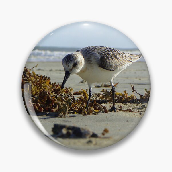 Item preview, Baird's Sanderling designed and sold by MercerImages.