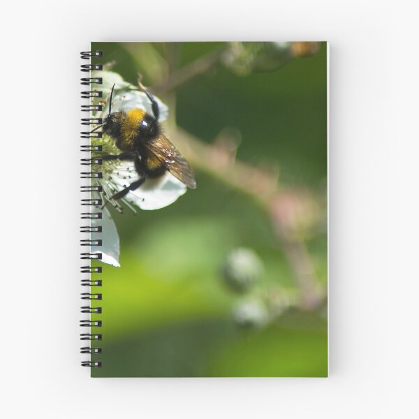 Item preview, Bee time! designed and sold by Paul Tremble.