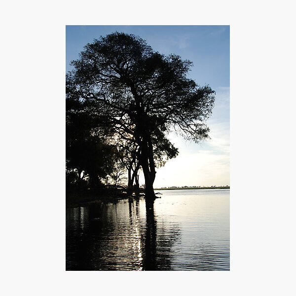 Vista previa del artículo con la obra «Dusk, Chobe National Park, Botswana, Africa», diseñado y vendido por Adrian Paul.