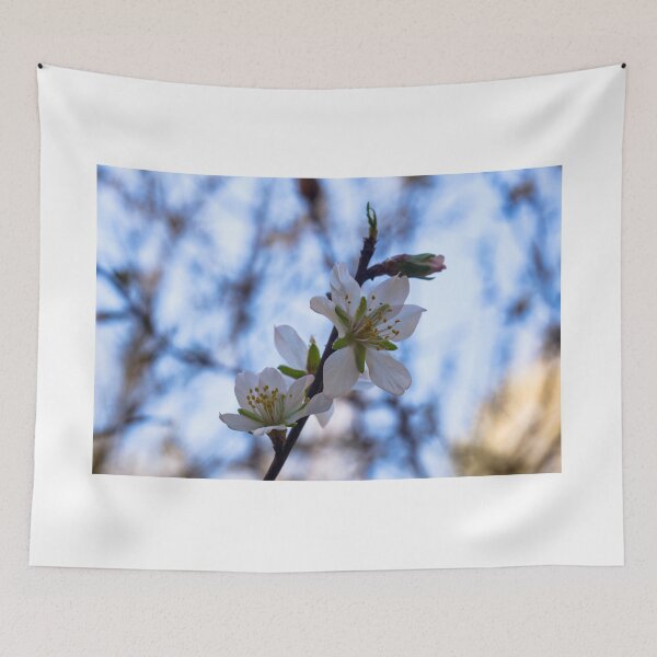 Item preview, THE ALMOND BLOSSOM designed and sold by 35or120mm.