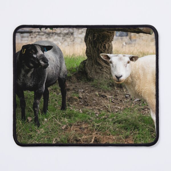 Item preview, Sheep designed and sold by JEZ22.