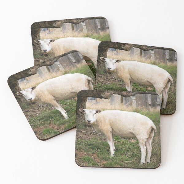 Item preview, Sheep designed and sold by JEZ22.