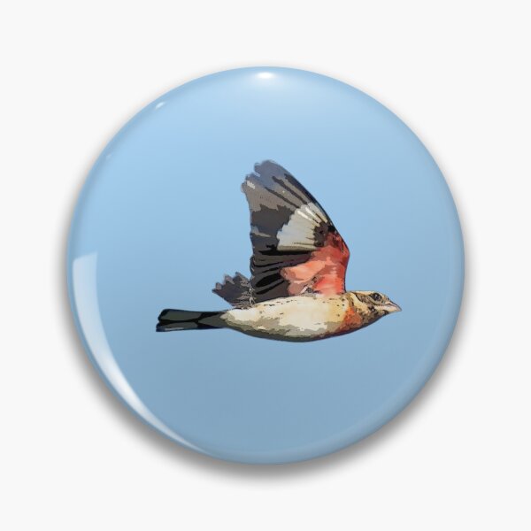 Item preview, Rose-breasted Grosbeak Color Design  designed and sold by designsasstultd.