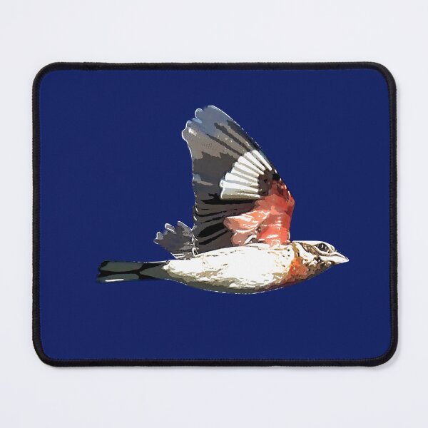 Item preview, Rose-breasted Grosbeak White Alternate Design designed and sold by designsasstultd.