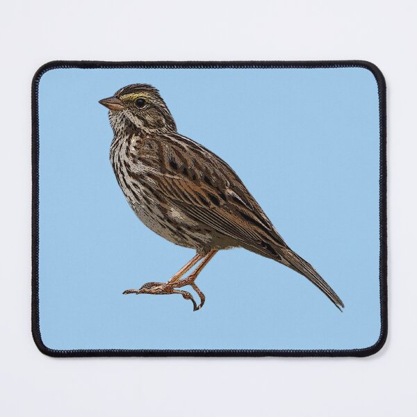 Item preview, Savannah Sparrow Color Design designed and sold by designsasstultd.