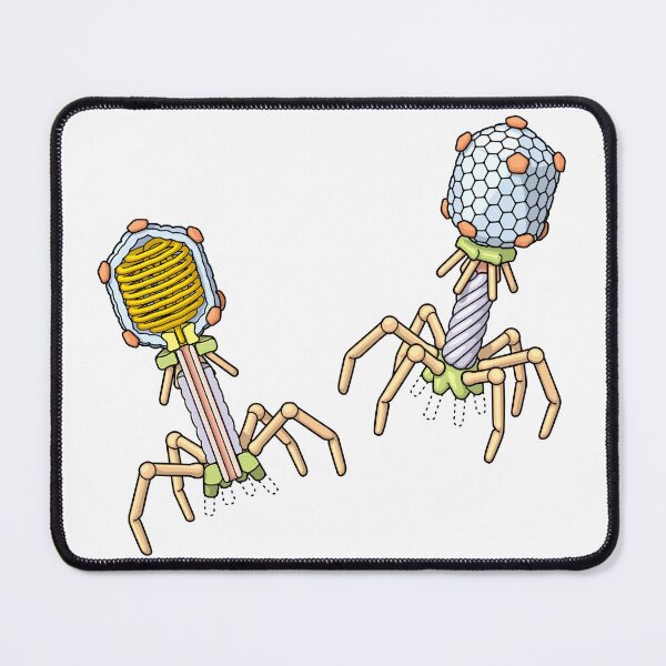 Item preview, Bacteriophage Structure Illustration designed and sold by taylorcustom.