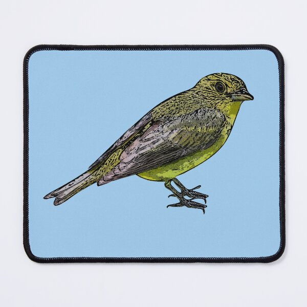 Item preview, Scarlet Tanager Female Black Alternate Design designed and sold by designsasstultd.