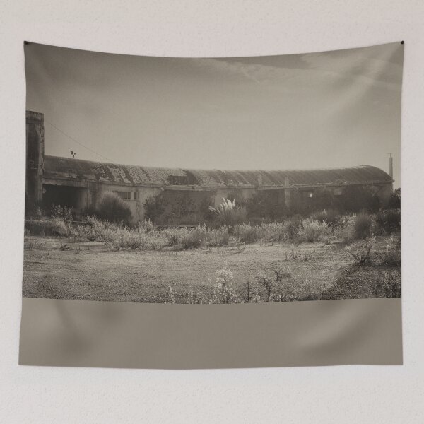 Item preview, 2023 Cave arene candide #08 designed and sold by robertoferrero.
