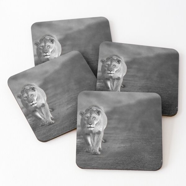 Item preview, Lioness Walking along Dusty Road - Masai Mara designed and sold by AndyMorkot.