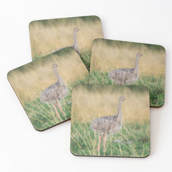 Item preview, Ostrich Chick Botswana designed and sold by PhotoArt by Joan Carroll.