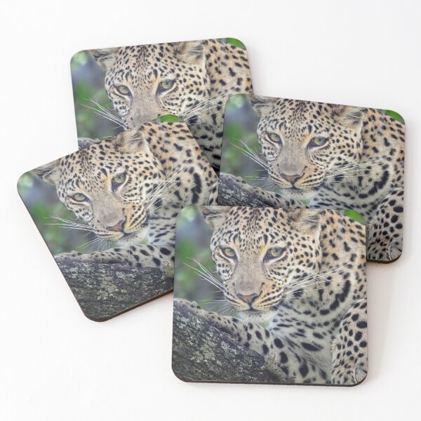 Item preview, Leopard Portrait Botswana designed and sold by PhotoArt by Joan Carroll.