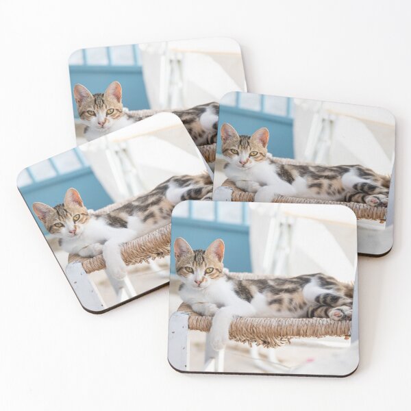 Item preview, Casual Cat designed and sold by Joliettelukats.