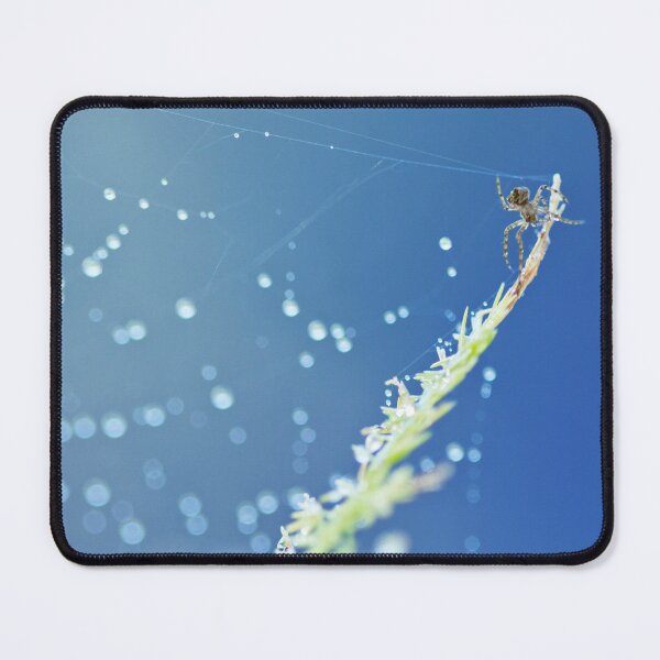 Item preview, Spider on Web designed and sold by Kenziewenze.