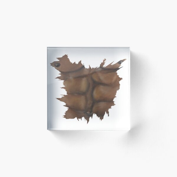 Six pack Acrylic Block