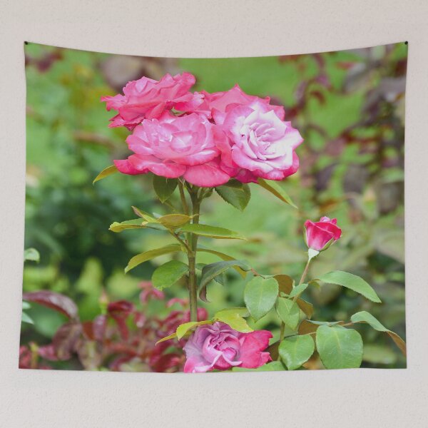 Item preview, Shades of Pink Roses designed and sold by ginawaltersdorf.
