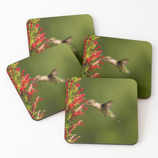 Item preview, Ruby Throated Hummingbird  designed and sold by FlyingLilly.