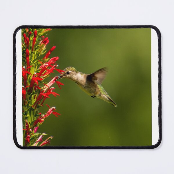 Item preview, Ruby Throated Hummingbird designed and sold by FlyingLilly.