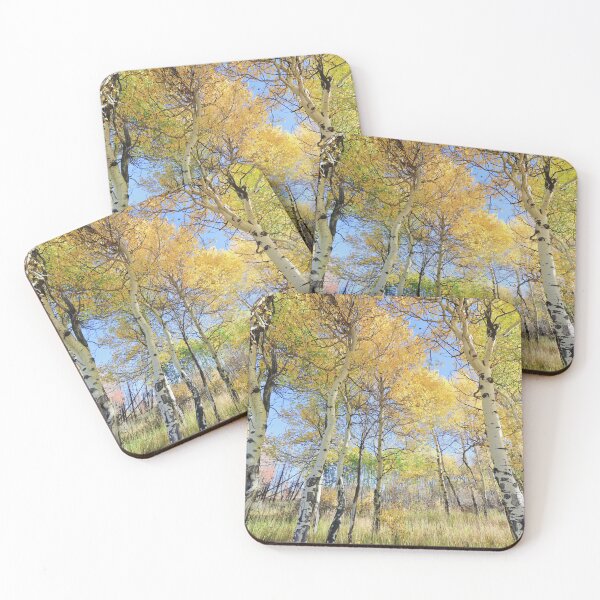 Item preview, Rocky Mountain National Park, September 2022 #5 designed and sold by Rachel Jeffrey.