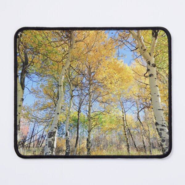 Item preview, Rocky Mountain National Park, September 2022 #5 designed and sold by Rachel Jeffrey.