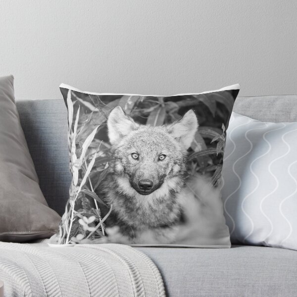 Item preview, Close encounter with a wolf designed and sold by 3rd Eye.