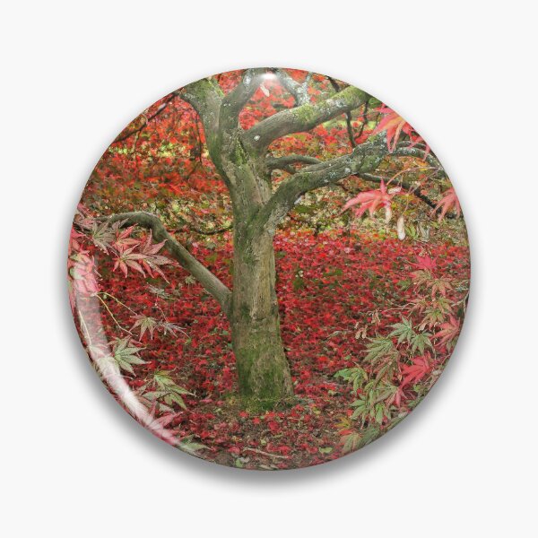 Item preview, Acer at Westonbirt designed and sold by RedHillDigital.